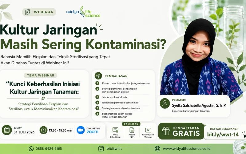 Hay Sobat_Wilis, Sering Mengalami Kultur Jaringan masih Gagal karena Kontaminasi?