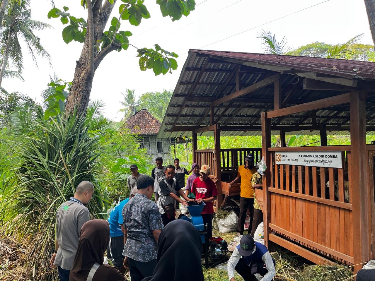 Rahasia Kambing Gemuk Tanpa 'Ngaret' Tiap Hari: Peternak Kulon Progo Antusias Ikuti Pelatihan Silase